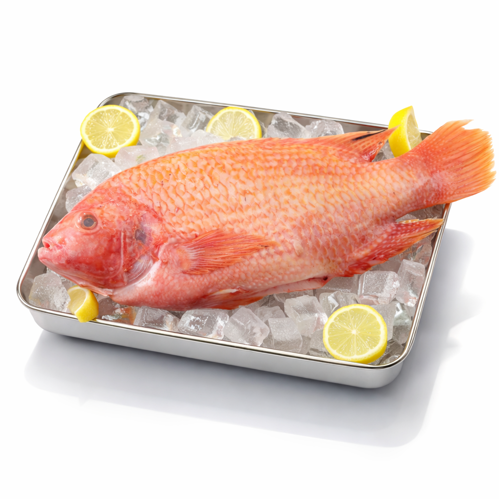 cá diều hồng 1pack